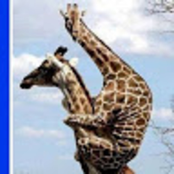 Meet your Posher, Ruth - Picture 1 of 1